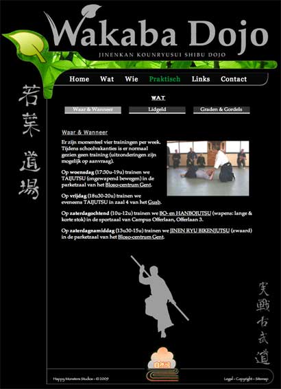 dojo website, sample 3