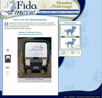 fido website example 2