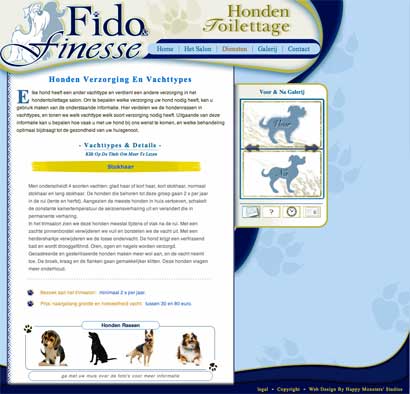 fido website example 3